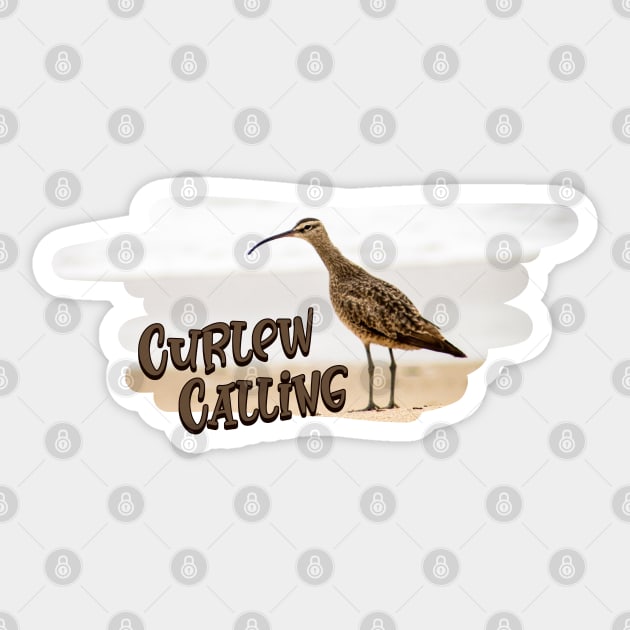 Curlew Day Curlew Calling Sticker by HolidayBug